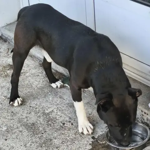 Zeus photo 3
