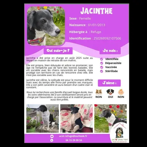 Jacinthe