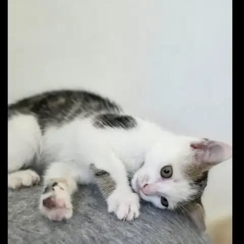 Abby