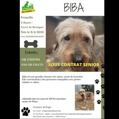 Biba -Contrat Sénior