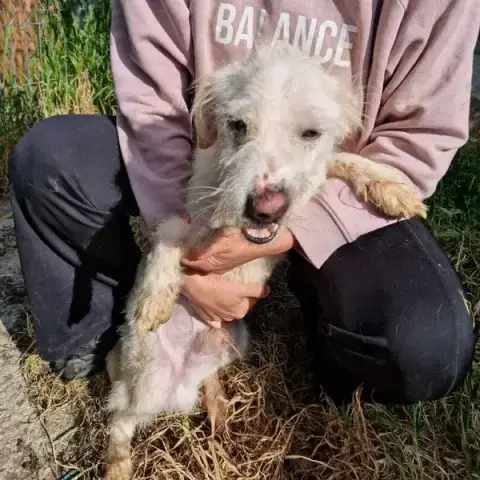 Oslo photo 3