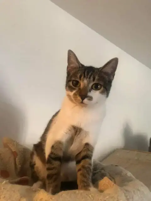 Samantha