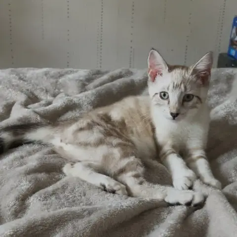 Bianca