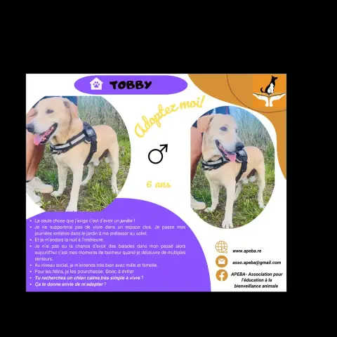 Tobby