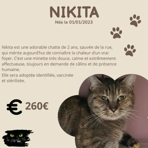 Nikita