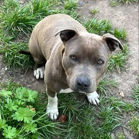 Nala photo 3