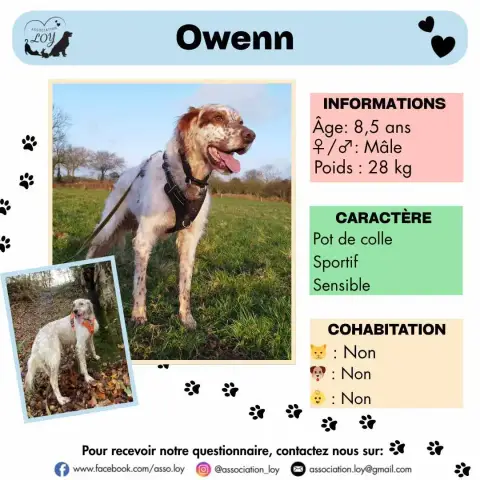 Owenn