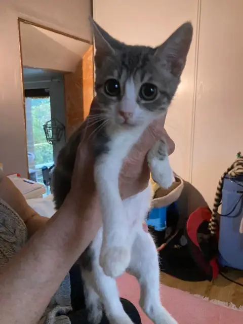 Minnie