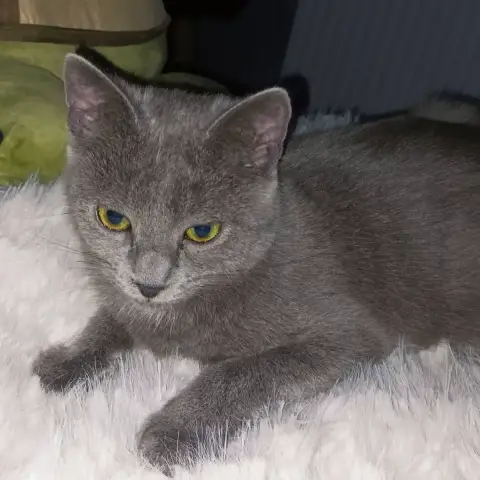 Alézia photo 2