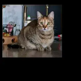 Princesse
