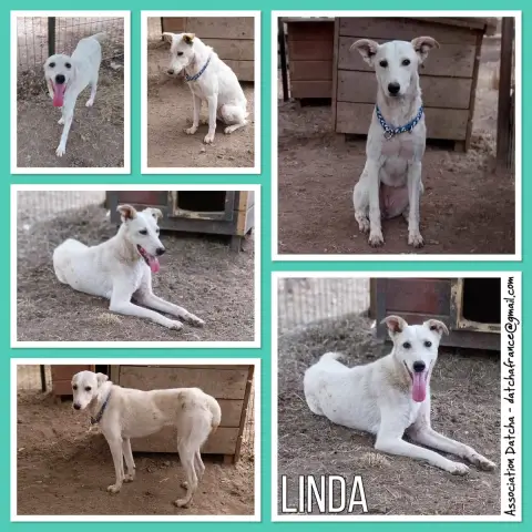 Linda