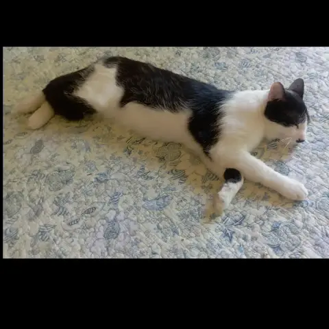 César photo 2