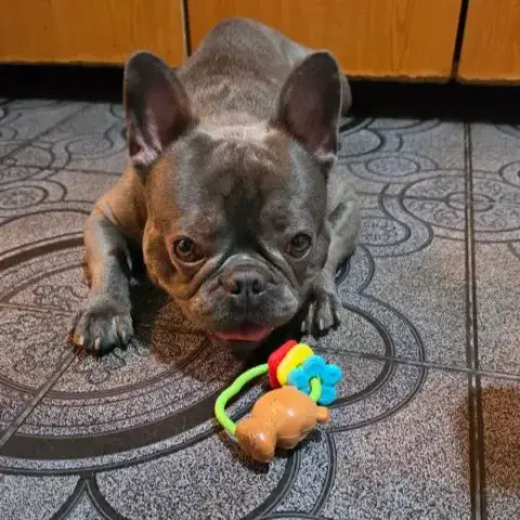 Wally