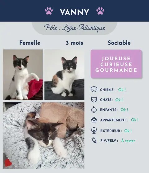 Vanny
