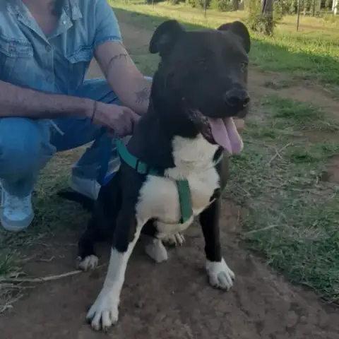 Zeus photo 2