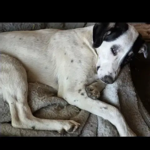 Tasha photo 3