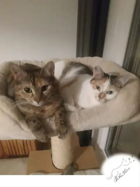 Talie Et Lea