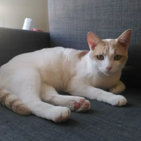 Jules photo 2