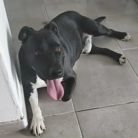 Zeus