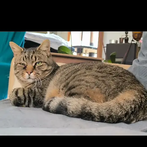 Bibi photo 3