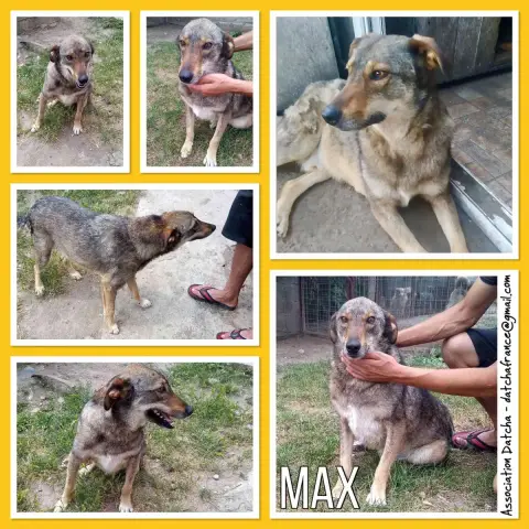 Max