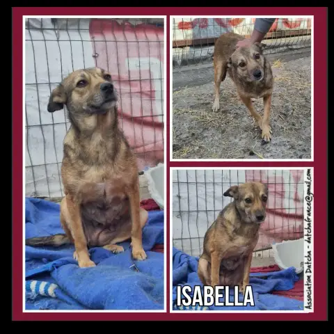 Isabella