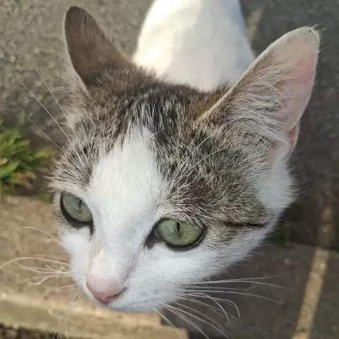 Bella photo 2