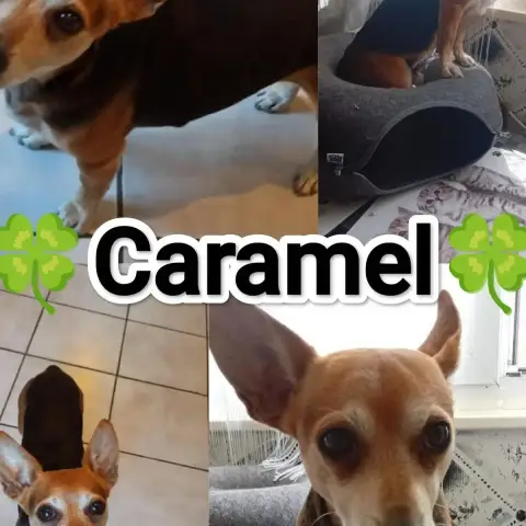 Caramel