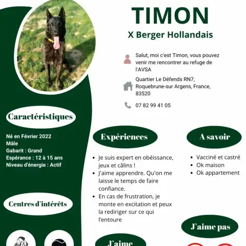 Timon photo 2