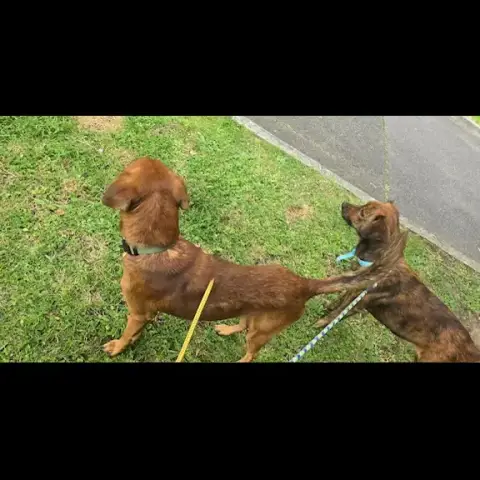 Ronny photo 3