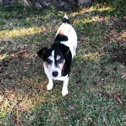 Kuzco photo 2