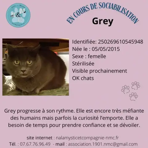 Grey