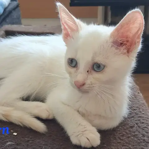 Bjorn photo 3