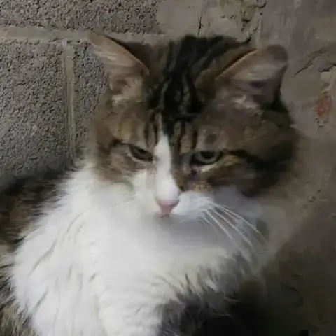 Michel photo 2