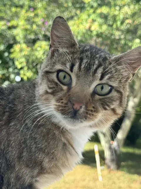 Némo photo 2