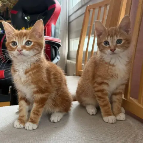 Martin Et Bruno