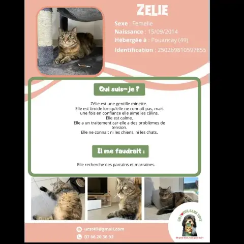 Zélie