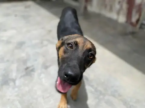 Nina