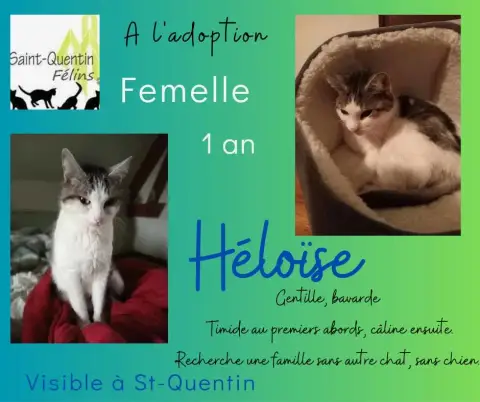 Héloïse