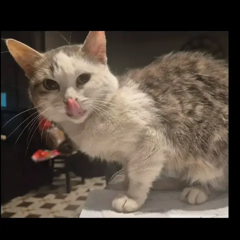 Jolie