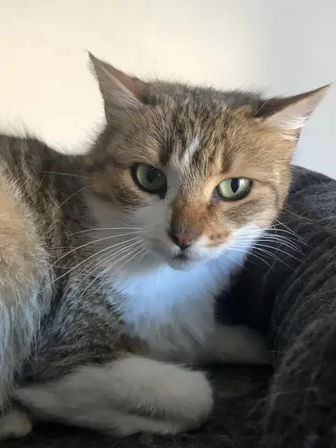 Ella photo 2