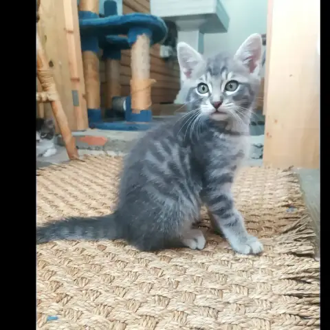 Bernie