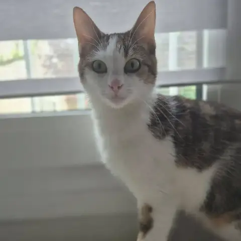 Anita photo 3