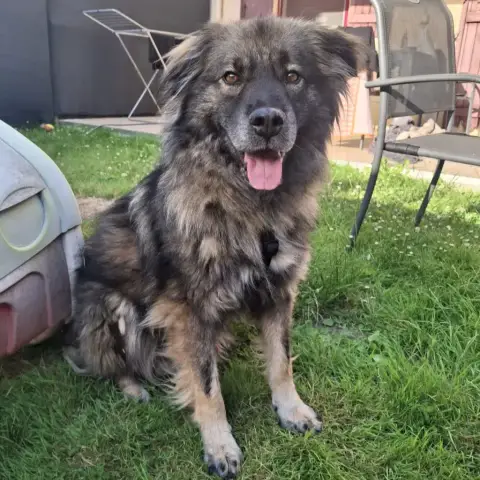 Helios