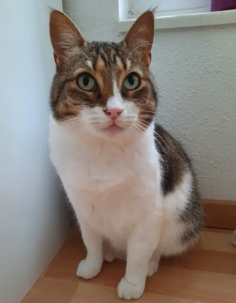 Carla