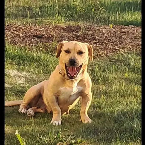 Baya photo 2