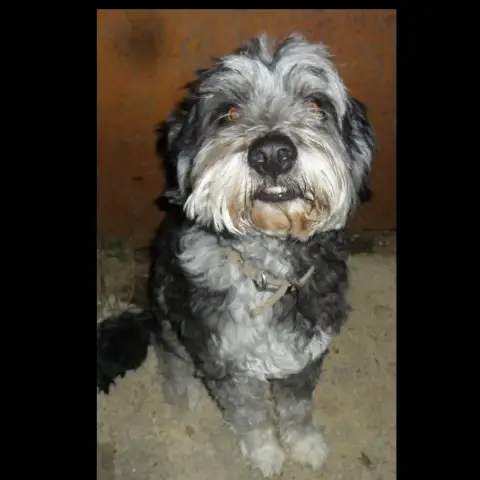 Popi photo 2