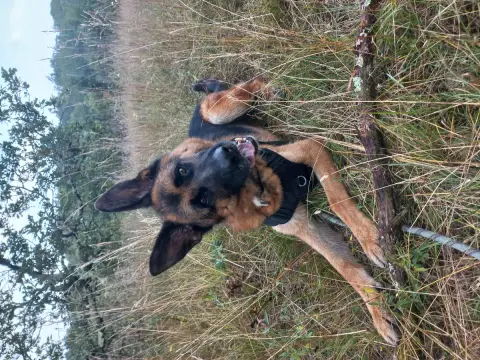 Philou photo 2