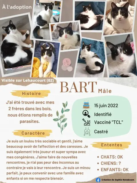 Bart