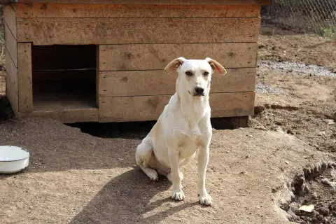 Zepamoi photo 3
